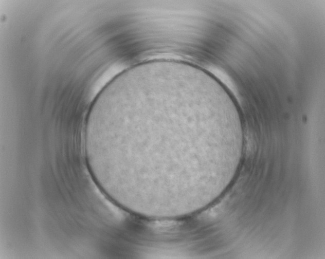 X0000089441290200707061359