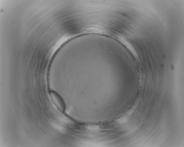 X0000089441291200707061359