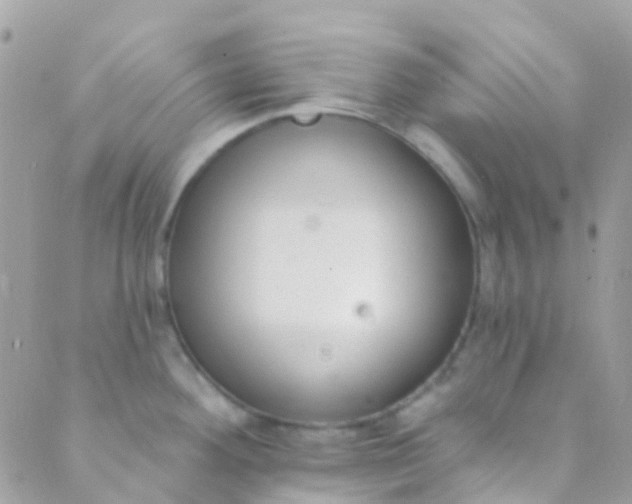 X0000089441292200707061359