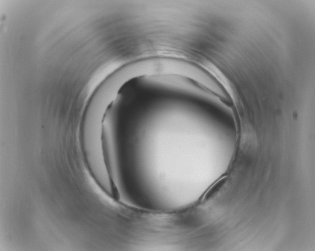 X0000089441293200707061359