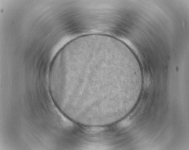 X0000089441294200707061359