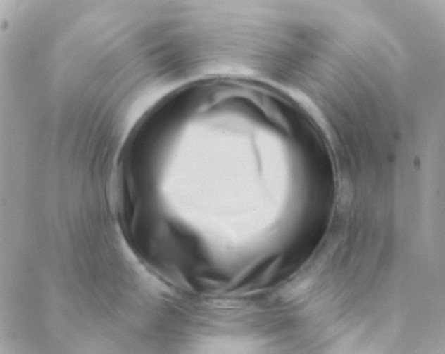 X0000089441295200707061359