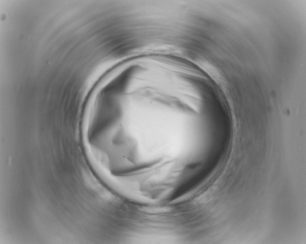 X0000089441296200707061359