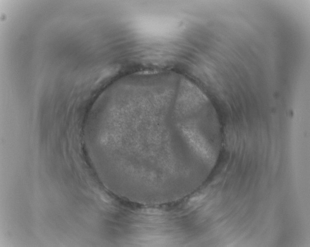 X0000089441297200707061358