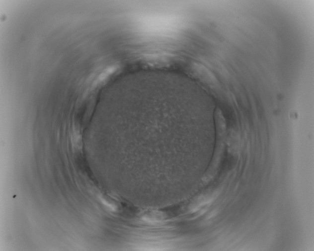 X0000089441298200707061358