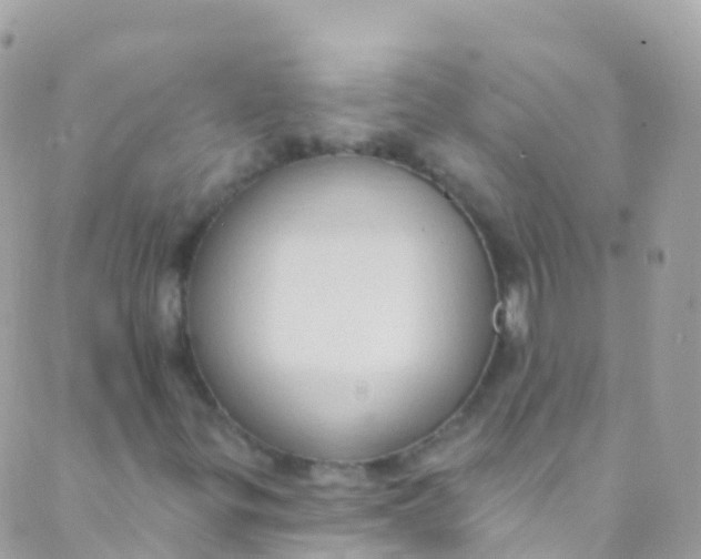 X0000089441299200707061358