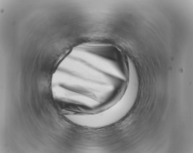 X0000089441300200707061358