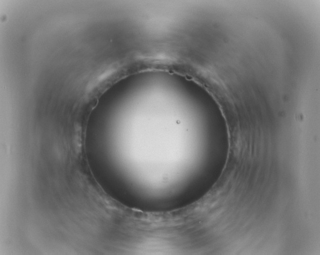 X0000089441301200707061358