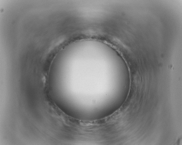 X0000089441302200707061358