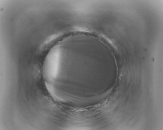 X0000089441303200707061358