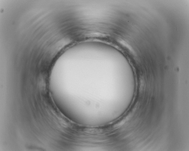 X0000089441305200707061358