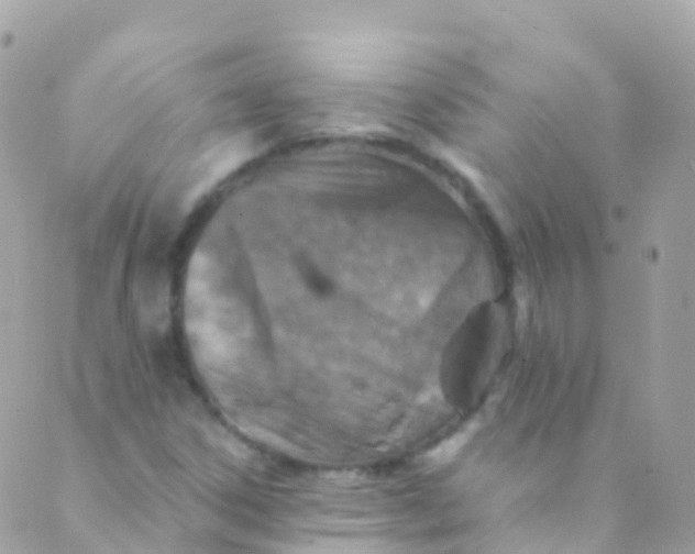 X0000089441306200707061358