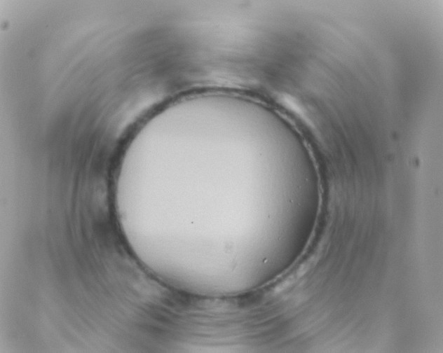 X0000089441307200707061358