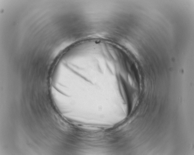 X0000089441308200707061358