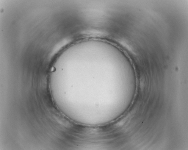 X0000089441309200707061358