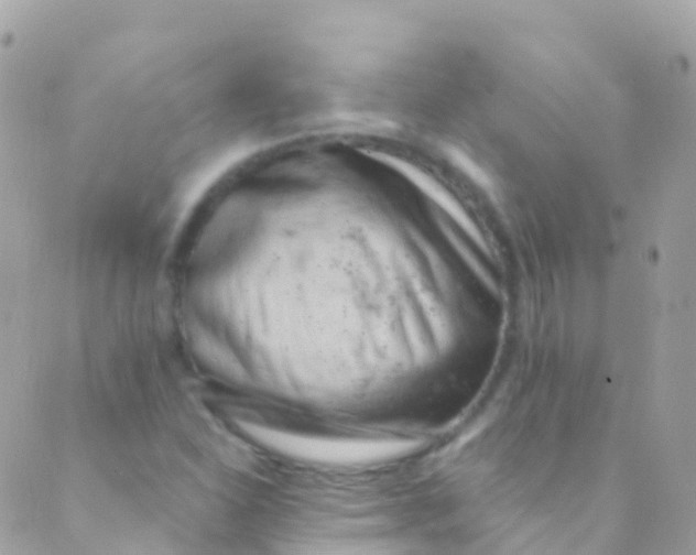 X0000089441310200707061358