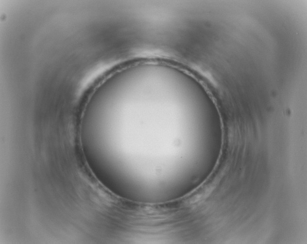 X0000089441311200707061358