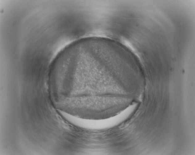 X0000089441312200707061358