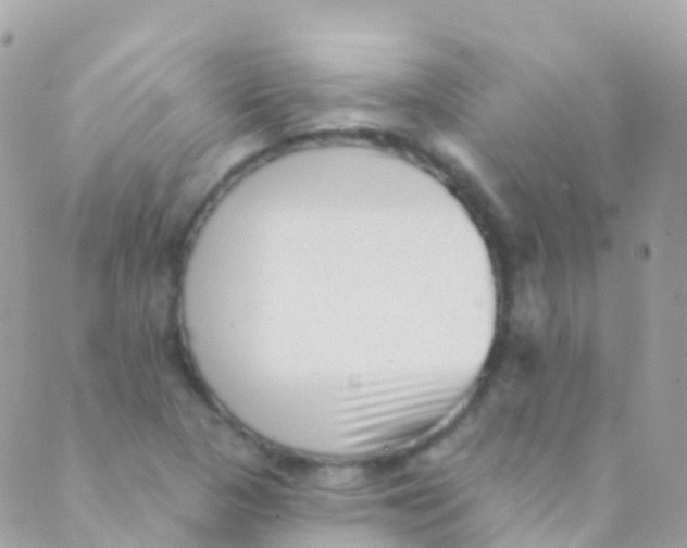 X0000089441313200707061358