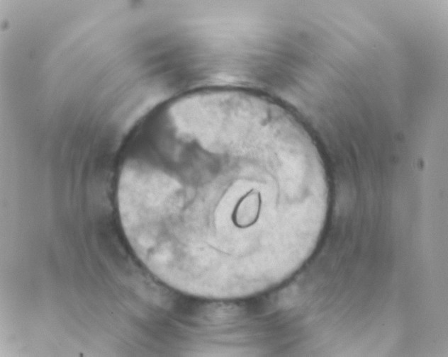 X0000089441314200707061358