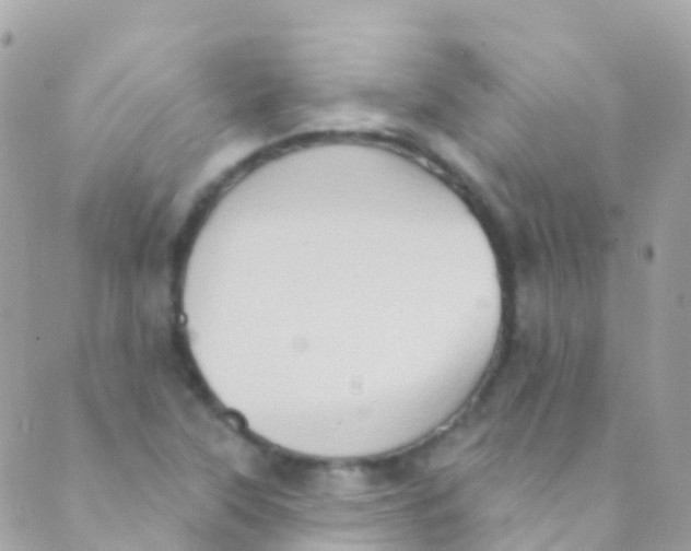 X0000089441315200707061358