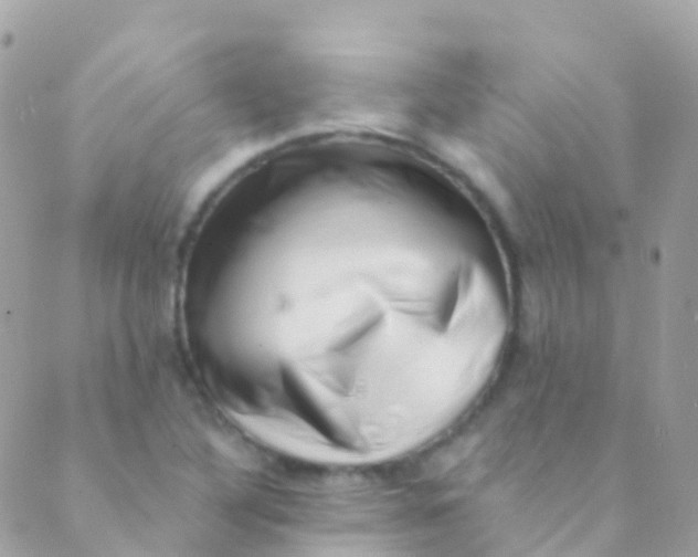 X0000089441316200707061358