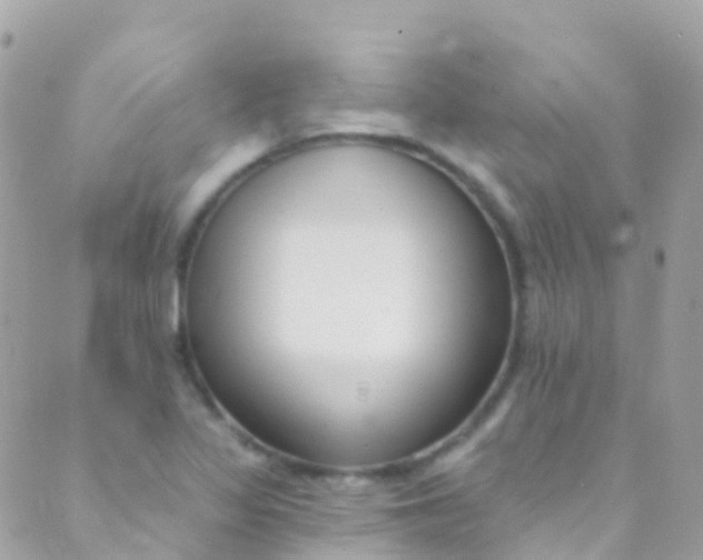 X0000089441317200707061358