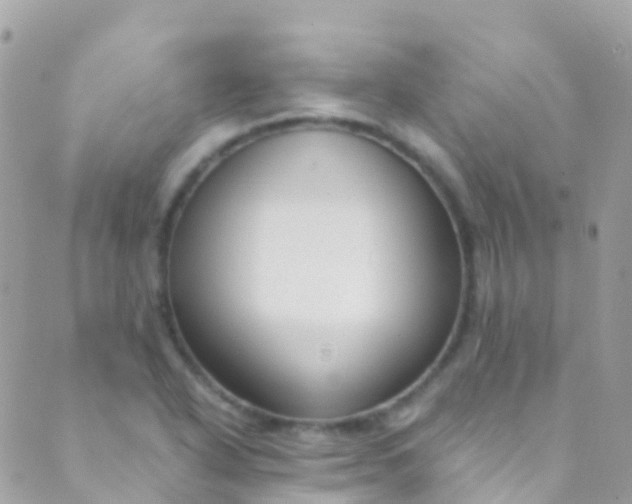 X0000089441318200707061358