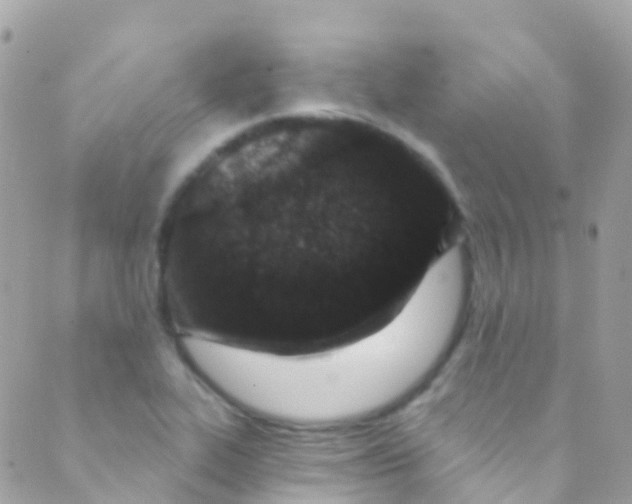 X0000089441319200707061359