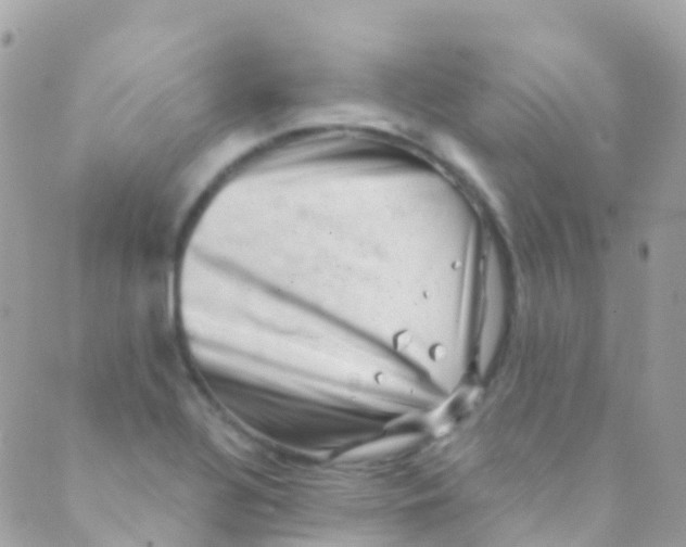 X0000089441320200707061359