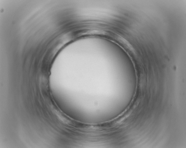 X0000089441321200707061359