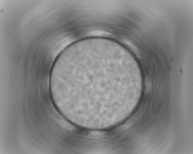 X0000089441322200707061359