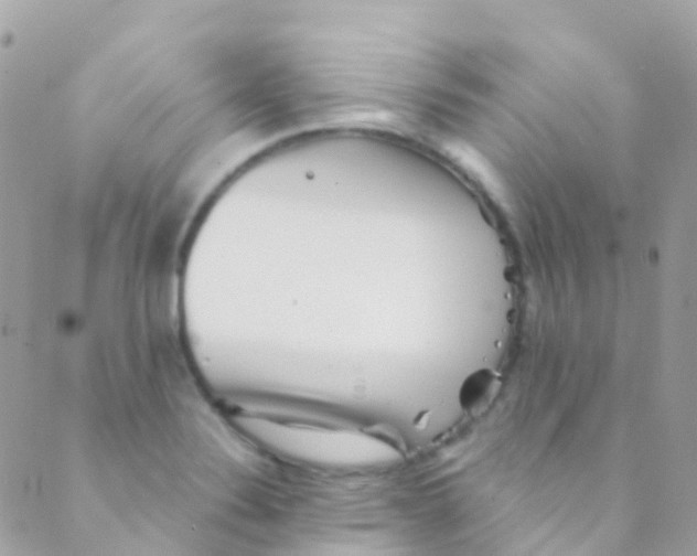 X0000089441324200707061359