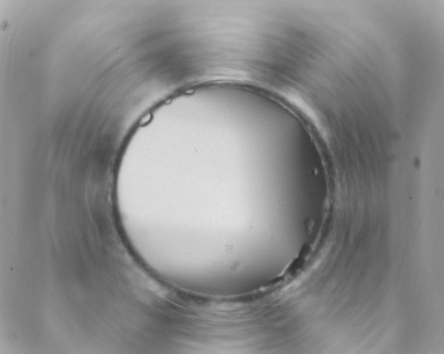 X0000089441325200707061359