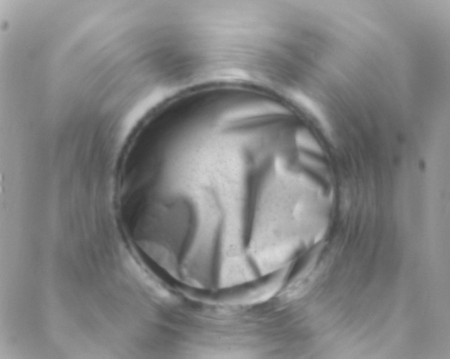 X0000089441326200707061359