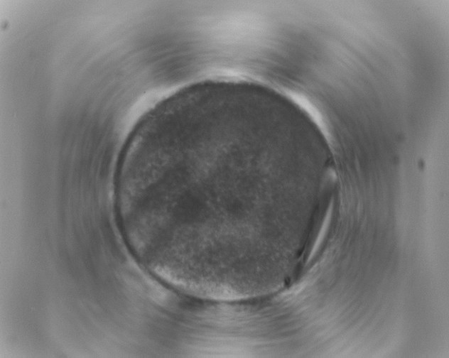 X0000089441327200707061359