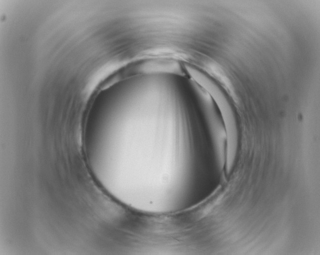 X0000089441328200707061359