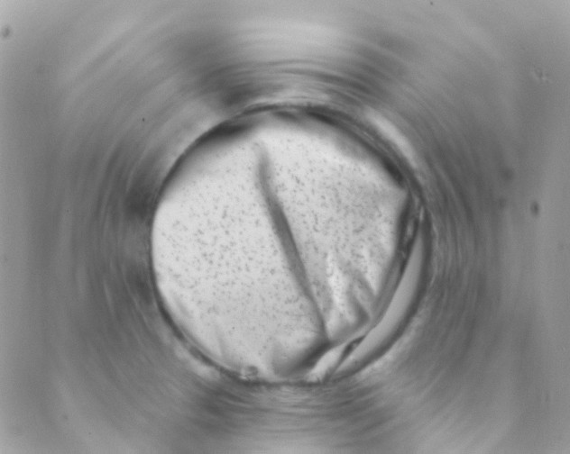 X0000089441329200707061359