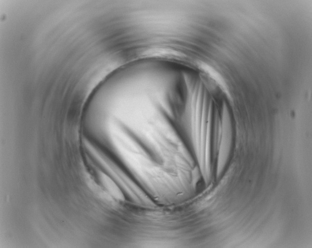 X0000089441330200707061359