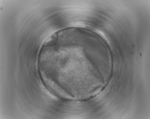 X0000089441331200707061359