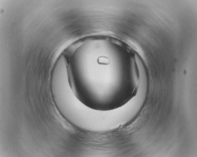 X0000089441332200707061359