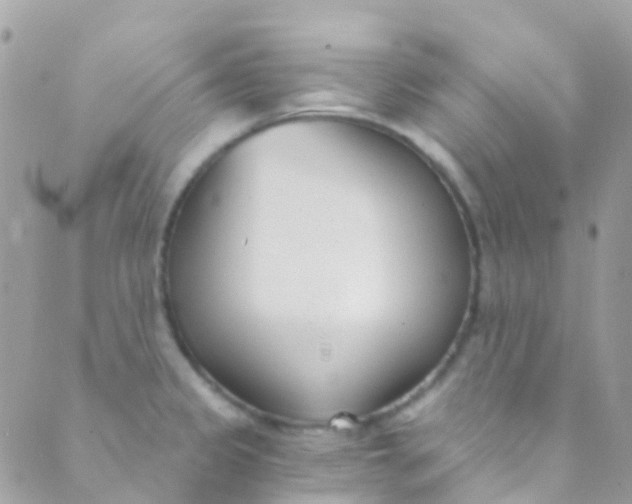 X0000089441333200707061359