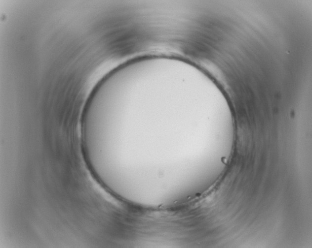 X0000089441335200707061359