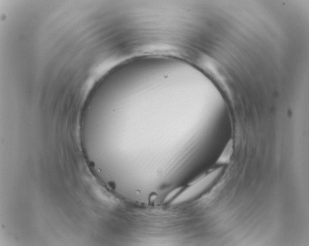 X0000089441336200707061359