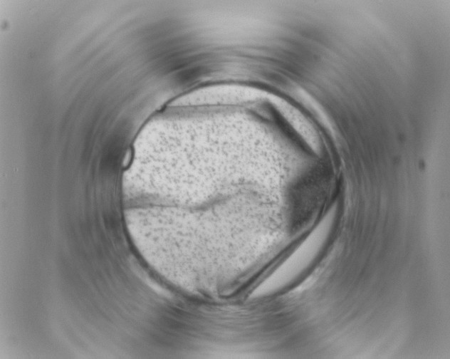 X0000089441337200707061359