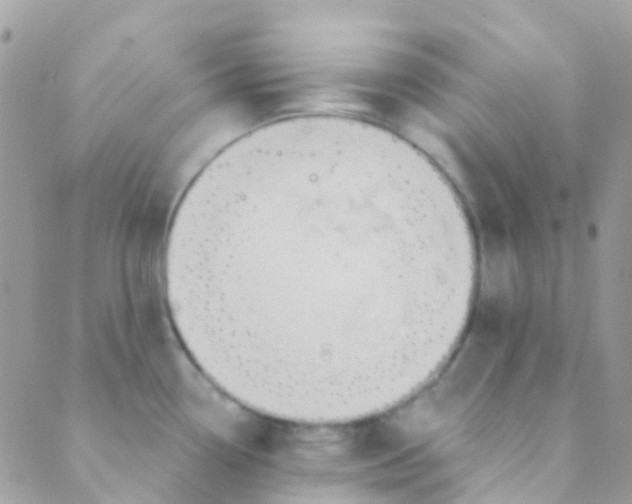 X0000089441338200707061359