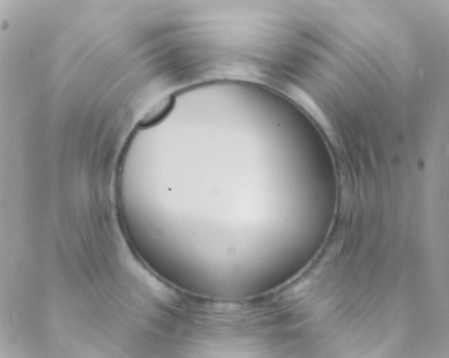 X0000089441339200707061359