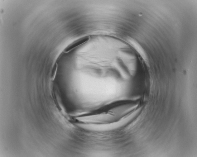 X0000089441340200707061359