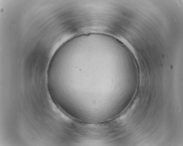 X0000089441341200707061359