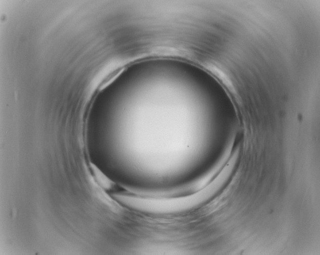 X0000089441342200707061359